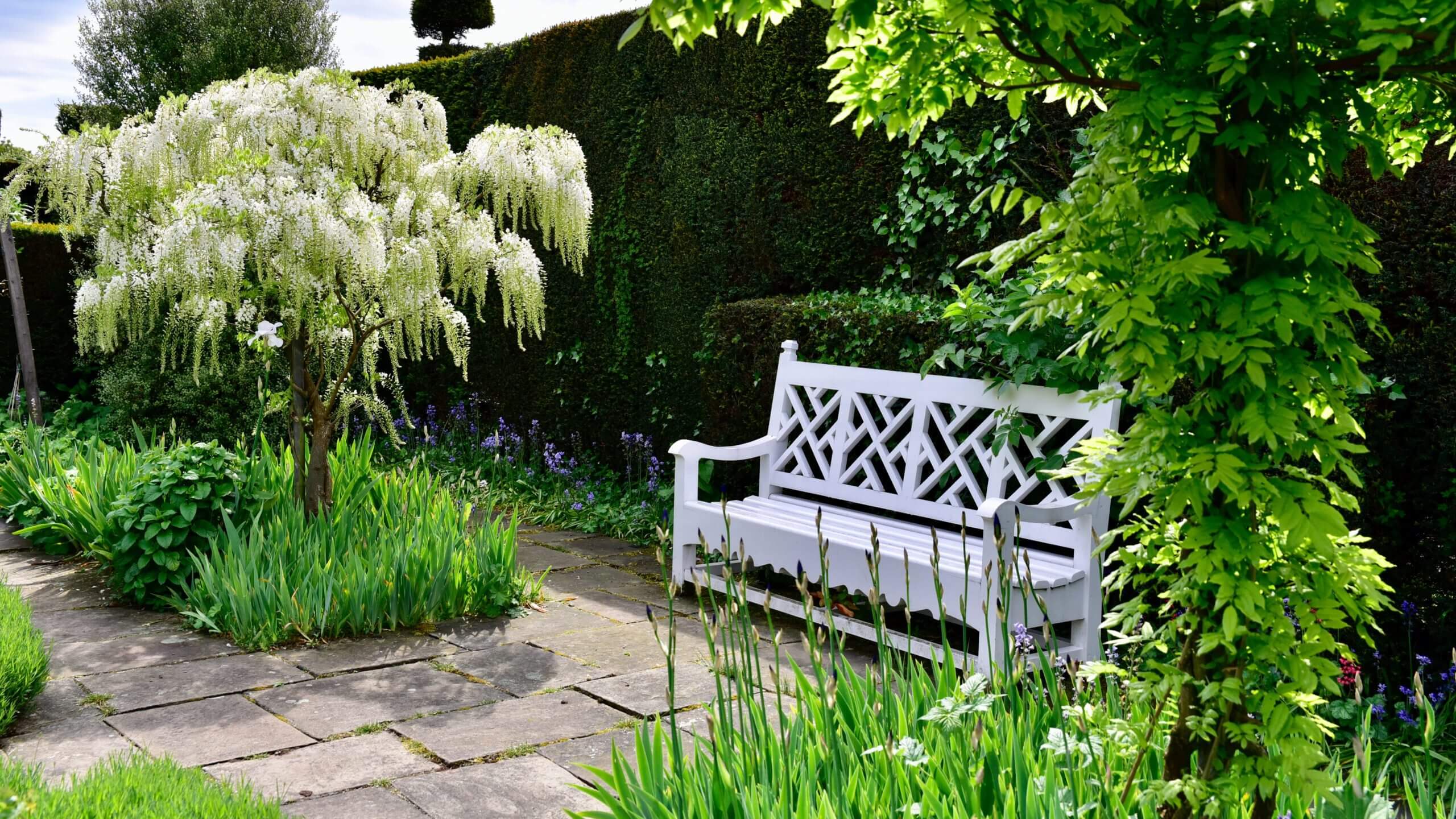 PicturesFromGarden_03